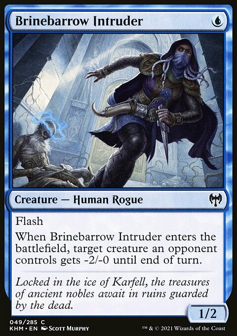 Brinebarrow Intruder